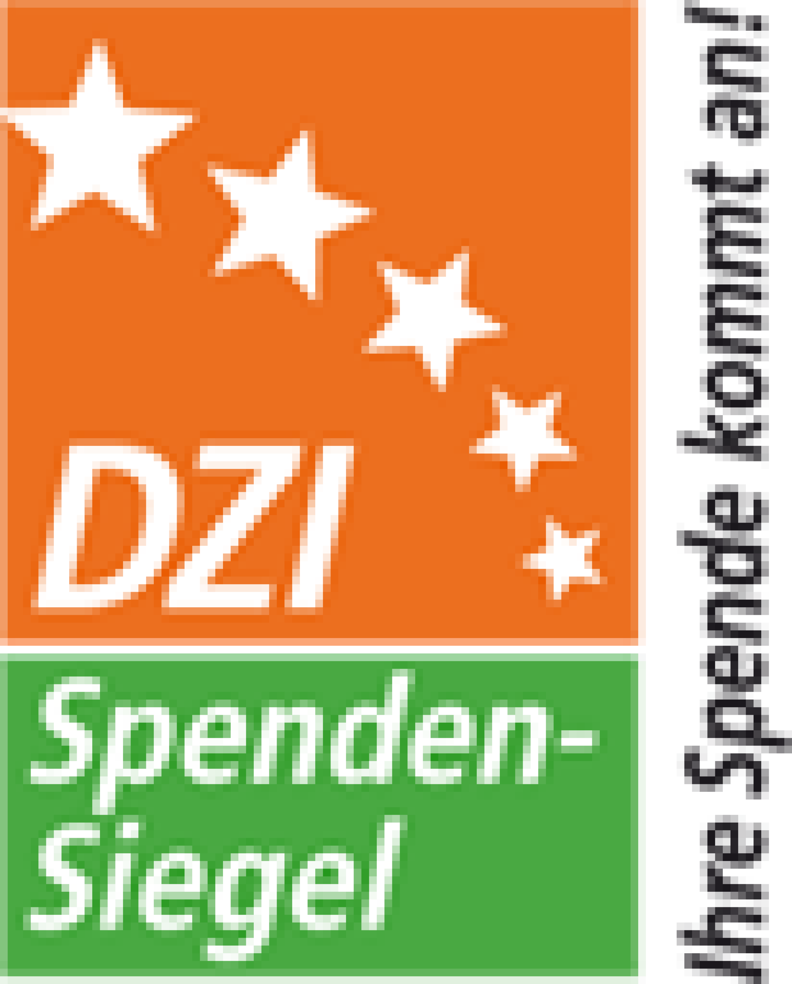 Logo von "Deutsches Zentralinstitut für soziale Fragen"